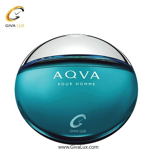   Bvlgari Aqva Pour Homme.jpg